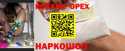 эйфоретик Кингисепп