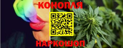 стаф Кинель