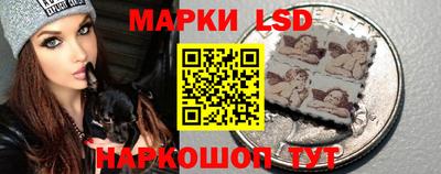 стаф Кинель