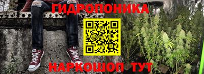 стаф Кинель