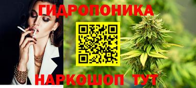 стаф Кинель