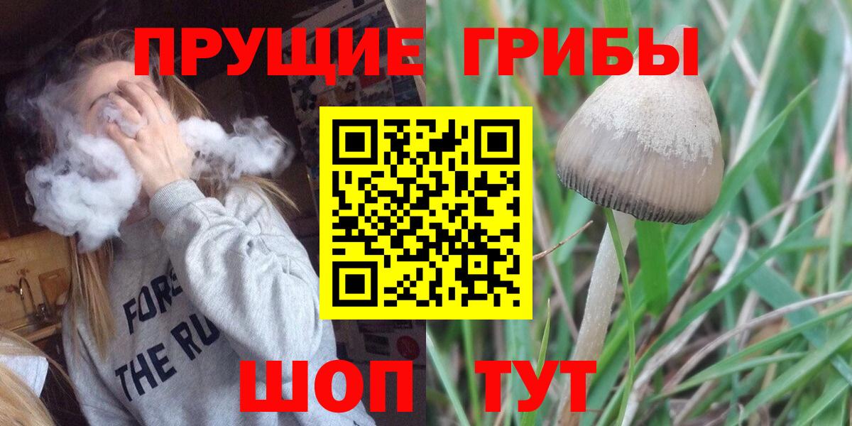 Псилоцибиновые грибы прущие грибы Курчатов