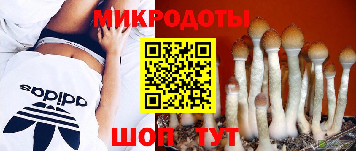 Псилоцибиновые грибы Psilocybine cubensis  Вход с VPN  Курчатов  Галлюциногенные грибы MAGIC MUSHROOMS 